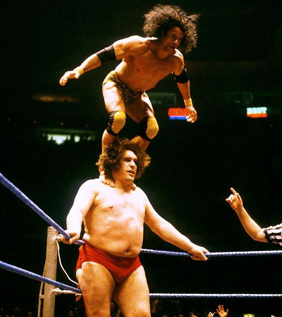 Andre the Giant Jimmy Snuka wwf wwe wrestling funny unbelievable |  America's White Boy